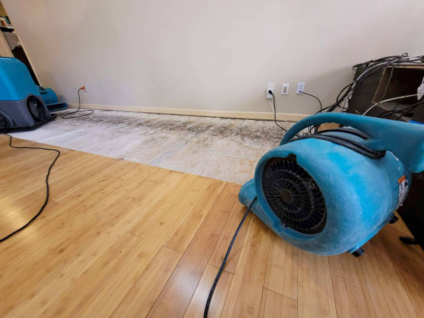 Reliable Flood Damage Restoration contractor in Columbus, KS by Hirex Water Damage
